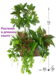 Искусственные растения латекс 70см в длинном кашпо