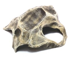 Укрытие для рептилий скелетон/среднее.