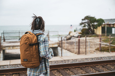 Картинка рюкзак городской Dakine D.101.2767 Black Ripstop - 8