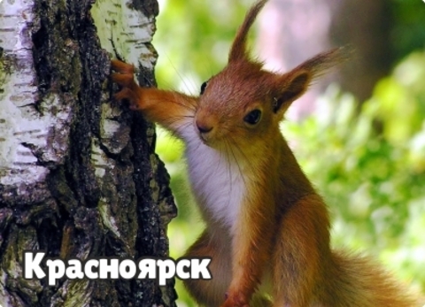 Урал Сувенир - Красноярск магнит закатной 90х65 мм №0025