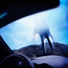 Nine Inch Nails / Year Zero (RU)(CD)