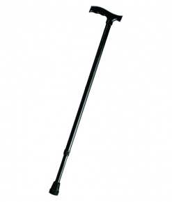 Трости Трость опорная телескопическая с пластиковой ручкой Bronigen BOC-100 prod_1383390640.jpg