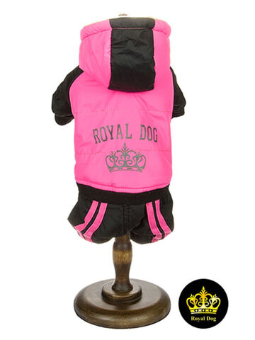 Royal Dog cпорт девочка стандарт S