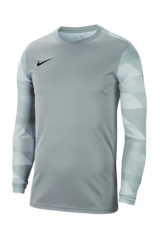 Вратарская кофта Nike Dry Park IV LS GK Детская