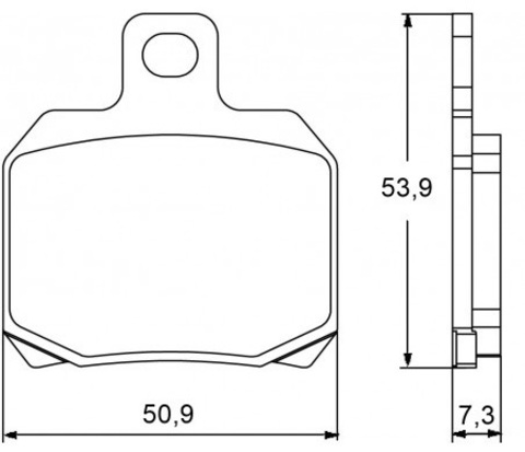 AGPA42OR Тормозные колодки дисковые мото Accossato (FDB2074P)