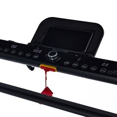 Беговая дорожка Domsen Fitness DST30