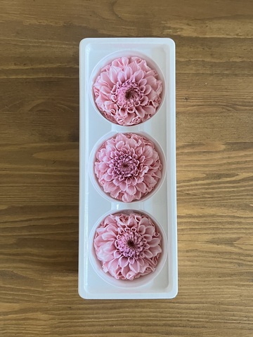 Георгины сиреневые d=8 см (упак 3 шт)