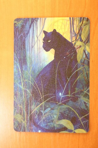 Пантера в лесу