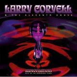 CORYELL, LARRY & ELEVENTH HOUSE, THE: Improvisations: Best Of The Vanguard Years (Компакт-диск)
