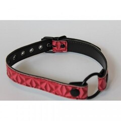 Кляп-расширитель для рта Luxury fetish красный