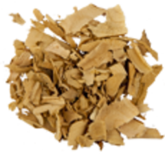 Терн (корень)