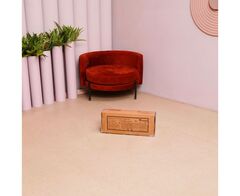 Батут с поручнем DFC AVENOR 36 дюймов JP07-C04-36H-B