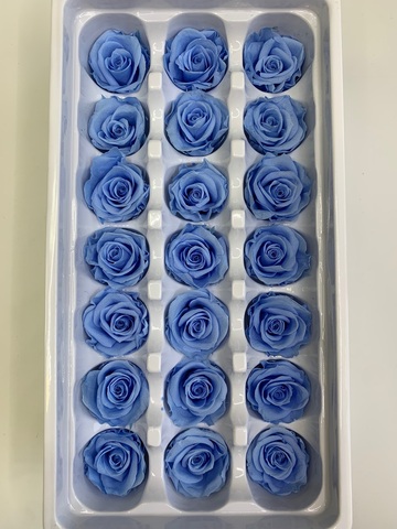 Роза 2-3 см класса 