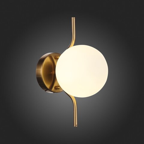 Светильник настенный ST Luce Forcio SL1126.201.01