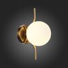 Светильник настенный ST Luce Forcio SL1126.201.01