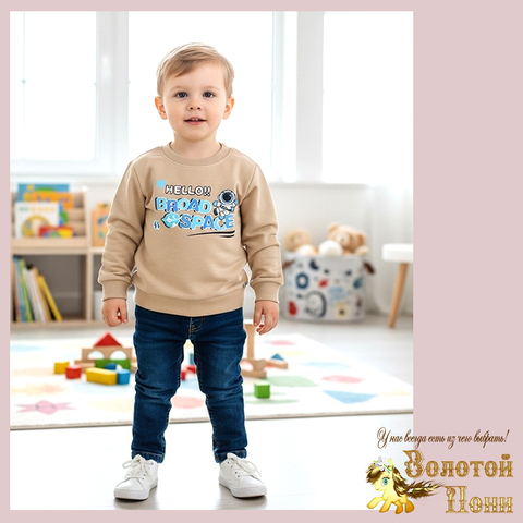 Свитшот трикотаж м (74-98) 251205-Y5116