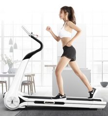 Электрическая беговая дорожка для дома EVO FITNESS Cosmo 3