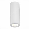 Светильник потолочный ST Luce ST650.502.01