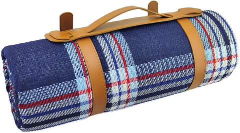 Картинка покрывало для пикника Skully WQ-blanket-wp blue-cells - 5