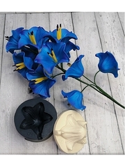 Молд пластиковый+вайнер силиконовый 