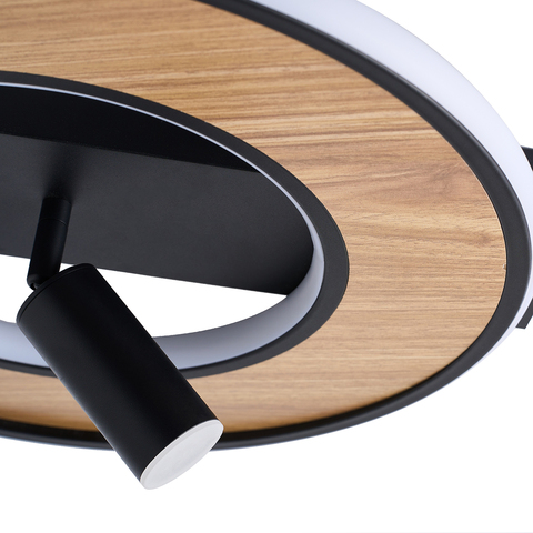 Потолочный светодиодный светильник F-Promo Olika 4438-2C