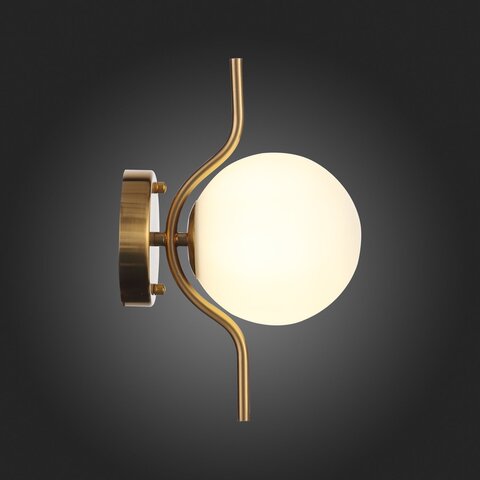 Светильник настенный ST Luce Forcio SL1126.201.01