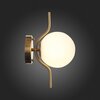 Светильник настенный ST Luce Forcio SL1126.201.01