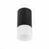 Светильник потолочный ST Luce ST100.412.01