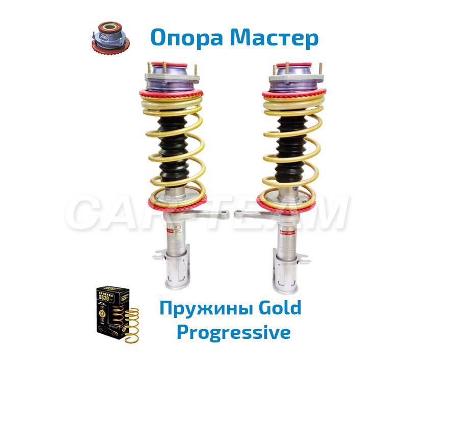 Опора спорт. Комплект подвески в сборе SS- 20 С опорой стандарт для ВАЗ 2115. Стойка в сборе ВАЗ 2110 передняя ss20. Задние стойки ВАЗ 2108 SS 20 В сборе. Амортизаторы в сборе ss20 (сс20) комфорт, задние на ВАЗ 2113, 2114, 2115.