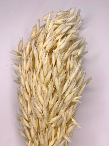 Овес отбелённый