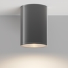 Потолочный светильник Maytoni Bar O306CL-L12GF