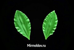 Силиконовый молд 