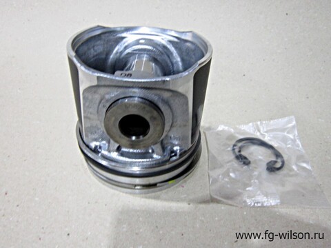 Поршень в сборе с кольцами, Std / KIT, PISTON АРТ: 10000-05803