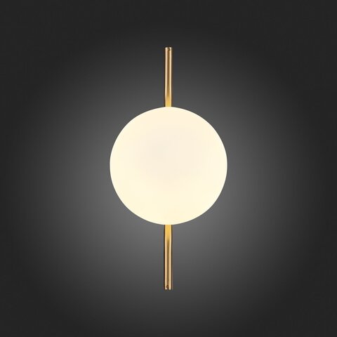 Светильник настенный ST Luce Forcio SL1126.201.01