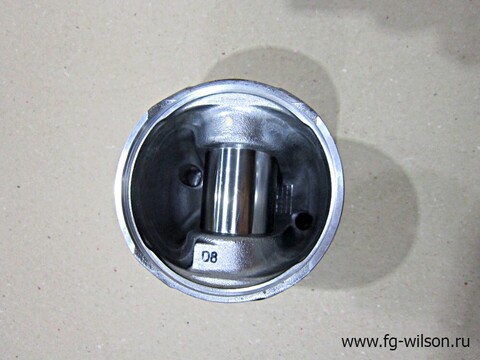 Поршень в сборе с кольцами, Std / KIT, PISTON АРТ: 10000-05803