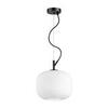 Подвесной светильник Odeon Light Roofi 4753/1