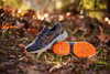 Кроссовки внедорожники Asics Gel-Venture 8 мужские Распродажа