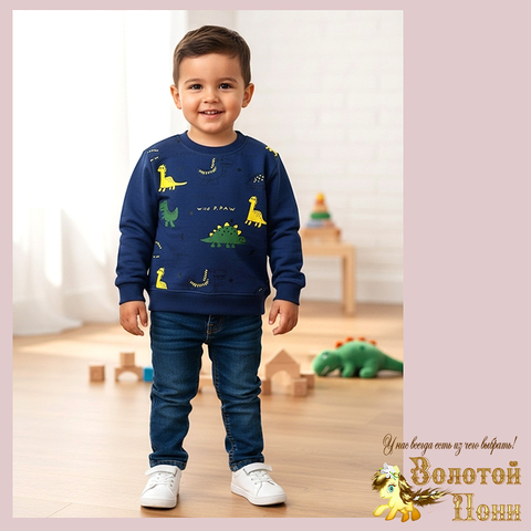 Свитшот трикотаж м (74-98) 251205-Y5121