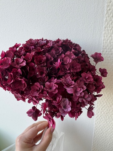 Гортензия стабилизированная сортовая Пыльно-малиновый (12-15см)