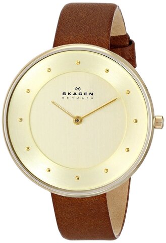 Наручные часы Skagen SKW2138 фото