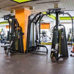 Баттерфляй - задние дельты (Pearl Delt/Pec Fly) DHZ E-3007. Стек 109 кг