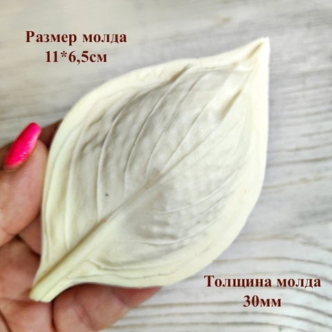 Молд пластиковый+Вайнер силиконовый 