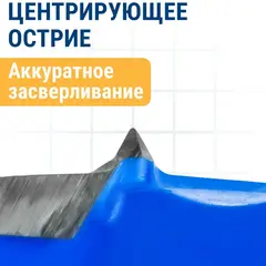 Сверло петельное Форстнера ПРАКТИКА 35 мм, твердосплавное (036-858)