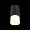 Светильник потолочный ST Luce ST100.412.01