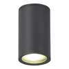 Светильник уличный потолочный ST Luce Tubo SL9010.712.01