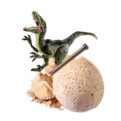 Dinosaur Egg Dig Kit ST70037