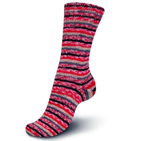 Regia Christmas Edition New 2455