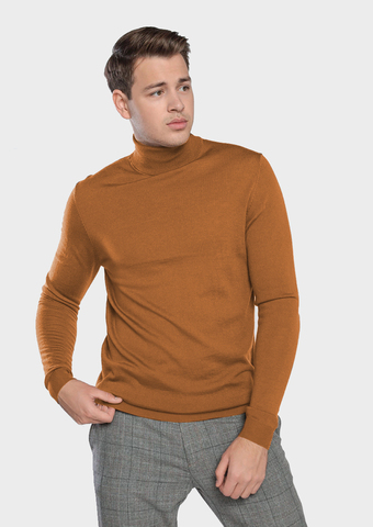 Водолазка ROY ROBSON