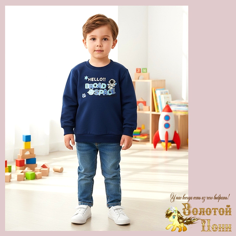 Свитшот трикотаж м (74-98) 251205-Y5117