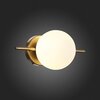 Светильник настенный ST Luce Forcio SL1126.201.01